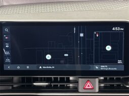 
 Kia Carnival Hybrid full									