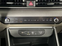 
 Kia Carnival Hybrid full									