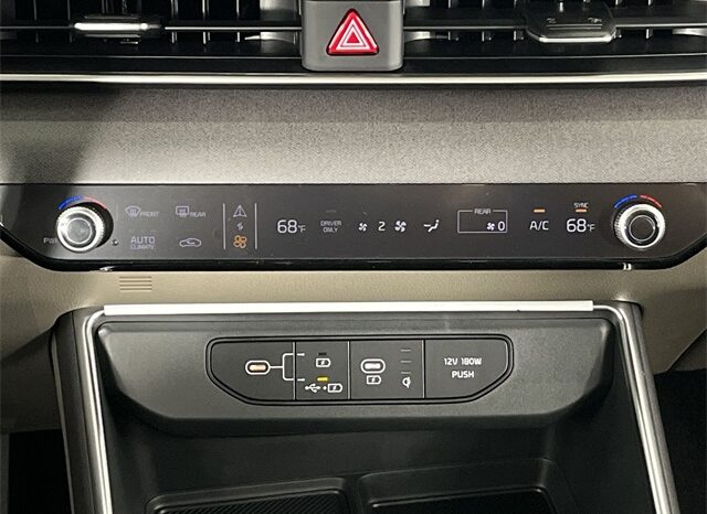 
 Kia Carnival Hybrid full									