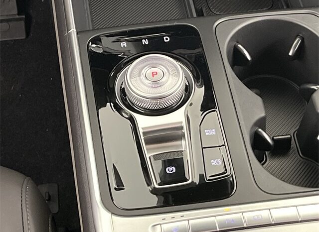 
 Kia Carnival Hybrid full									