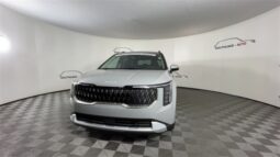 
 Kia Carnival Hybrid full									