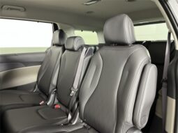 
 Kia Carnival Hybrid full									