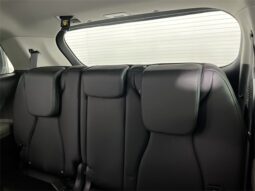 
 Kia Carnival Hybrid full									