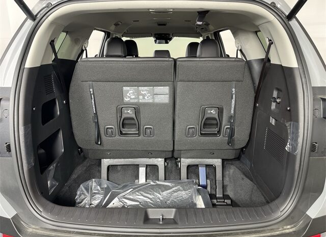 
 Kia Carnival Hybrid full									