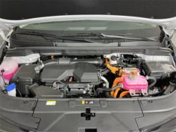 
 Kia Carnival Hybrid full									