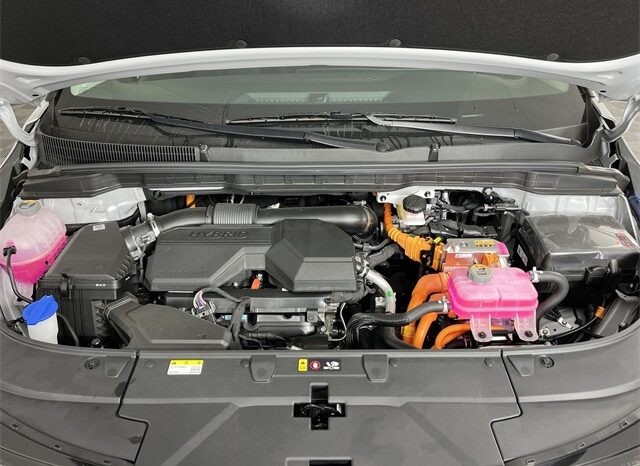 
 Kia Carnival Hybrid full									