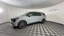 
 Kia Carnival Hybrid full									
