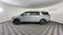 
 Kia Carnival Hybrid full									
