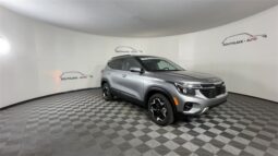 
 Kia Seltos full									