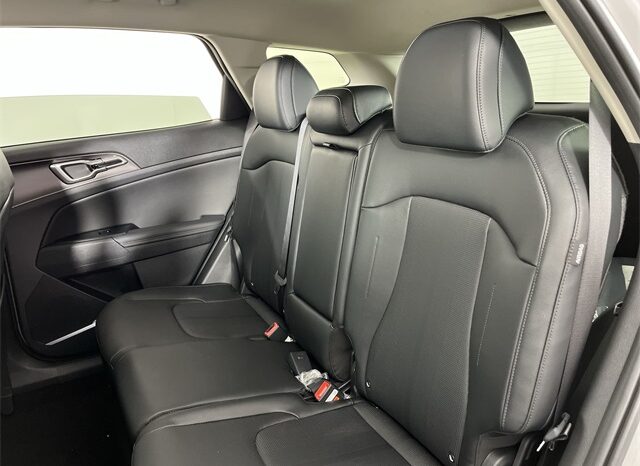 
 Kia Sportage full									