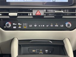 
 Kia Sportage Hybrid full									