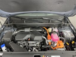 
 Kia Sportage Hybrid full									