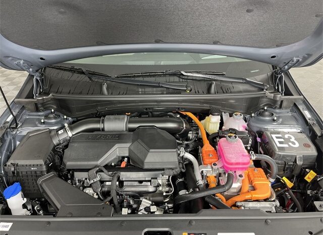 
 Kia Sportage Hybrid full									