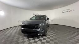 
 Kia Sportage Hybrid full									