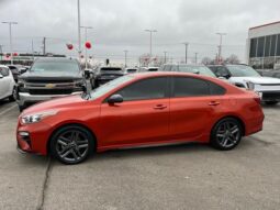 
 Kia Forte full									