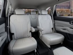 
 Kia Sorento Hybrid full									