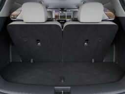 
 Kia Sorento Hybrid full									