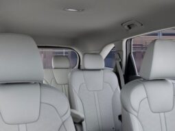 
 Kia Sorento Hybrid full									