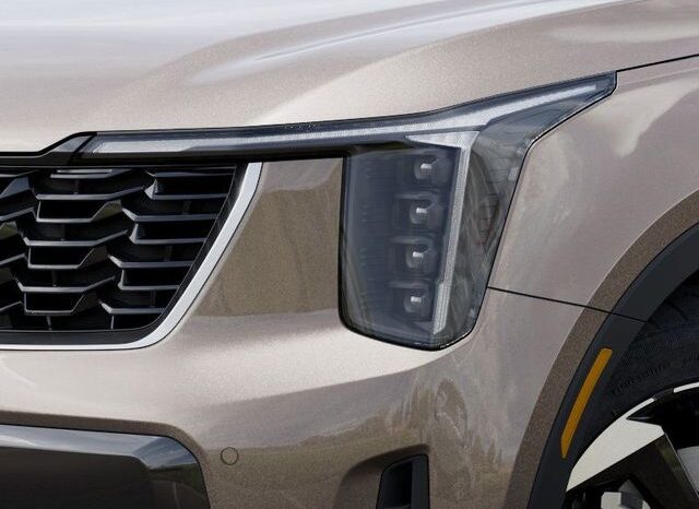 
 Kia Sorento Hybrid full									