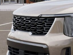 
 Kia Sorento Hybrid full									