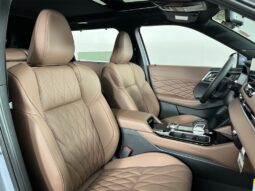 
 Mitsubishi Outlander full									