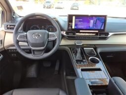 
 Toyota Sienna full									