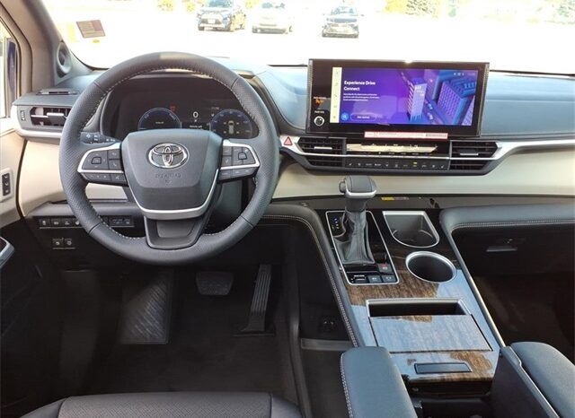 
 Toyota Sienna full									