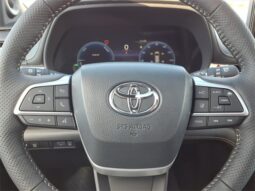 
 Toyota Sienna full									