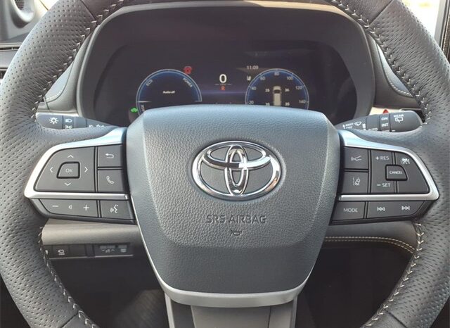 
 Toyota Sienna full									