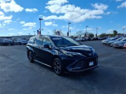 
 Toyota Sienna full									