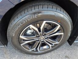 
 Toyota Sienna full									