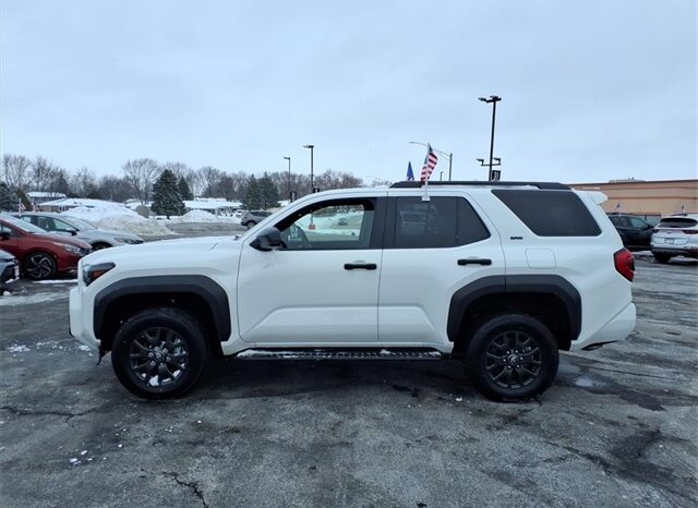 
 Toyota 4Runner full									