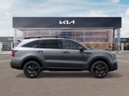 
 Kia Sorento Hybrid full									