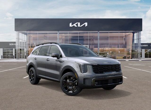 
 Kia Sorento Hybrid full									