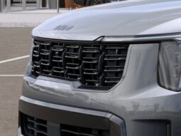 
 Kia Sorento Hybrid full									