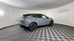 Nissan Murano full