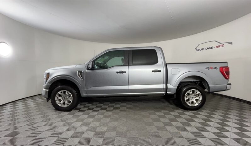 
 Ford F-150 full									