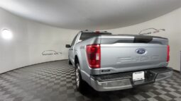 
 Ford F-150 full									