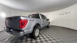 
 Ford F-150 full									