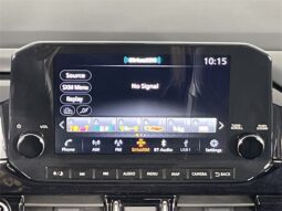 
 Nissan Pathfinder full									