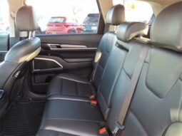 
 Kia Telluride full									