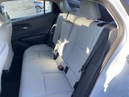 
 Toyota Prius full									