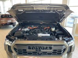 Toyota Tacoma full
