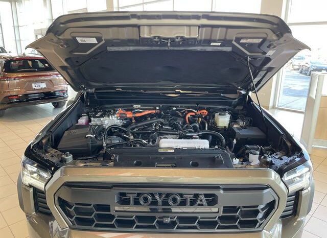 
 Toyota Tacoma full									