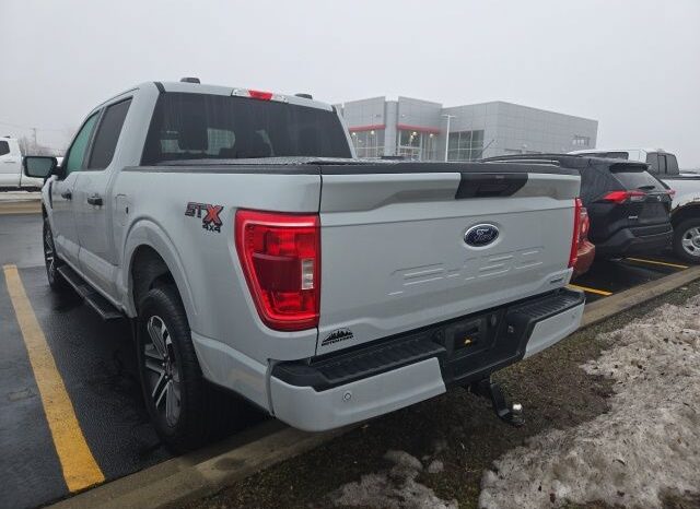 
 Ford F-150 full									