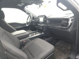 
 Ford F-150 full									