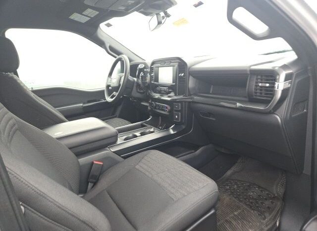 
 Ford F-150 full									