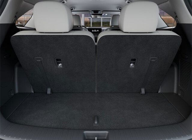 
 Kia Sorento Hybrid full									