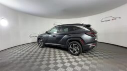 
 Hyundai Tucson full									