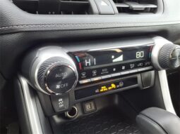 
 Toyota RAV4 Hybrid full									